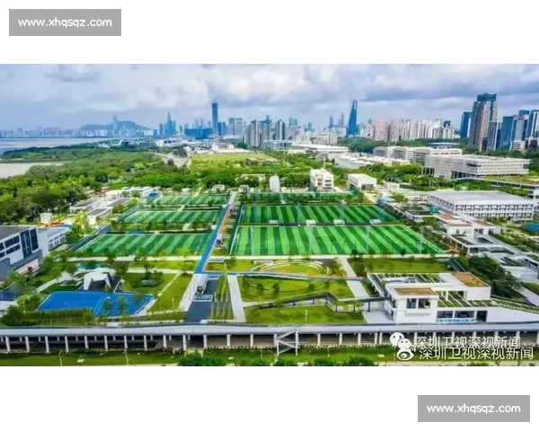 职业联赛全景解析与赛季表现趋势深度剖析
