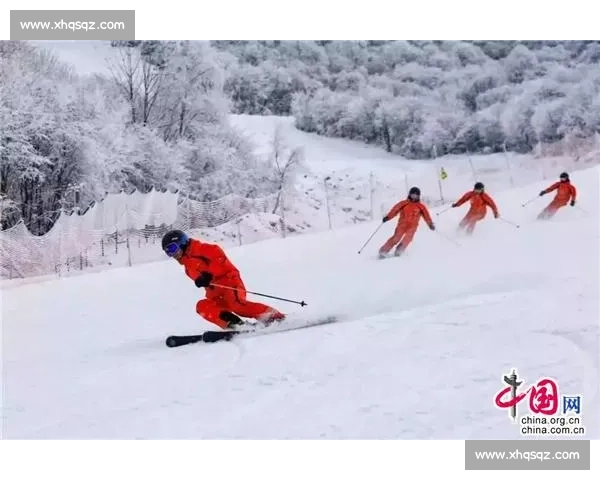 探索滑雪运动的魅力与技巧全面提升冬季运动体验