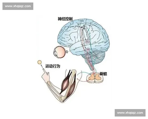 提升身体协调能力与动作控制的系统训练方法探索与实践